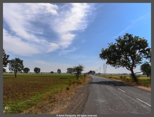 An empty stretch of road between Ujjain and Mandav, in Madhya Pradesh, India after almost 25-30 kms of non-existent roads.